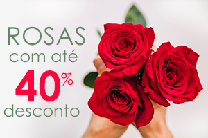 Rosas com ate 40% Desconto