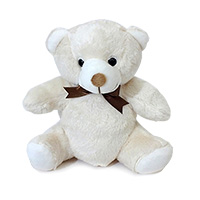 Ursinho Fofinho 15cm