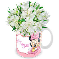 Presente para Recem Nascido - Feminino