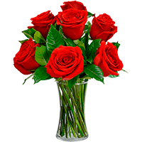 Rosas Vermelhas - Floricultura no Sabará