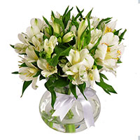 Para Ela Com Carinho - Entrega de Flores