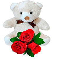 Flores e Pelúcia - 03 Rosas importadas