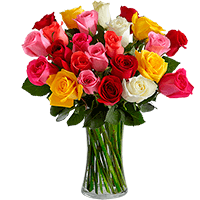 Buquê 24 Rosas - Floricultura Zona Sul