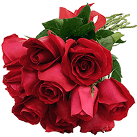 Buque de 12 Rosas Importadas