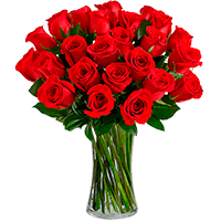 Buquê de Rosas Vermelhas - Importadas