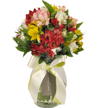 Flores Online Para Aniversário | Astromélias Coloridas