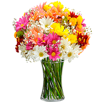Arranjo com Flores do Campo