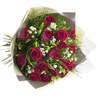 Buque de 15 Rosas Vermelhas - Parelheiros