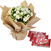 Vaso Flor kalanchoe e Kit kat