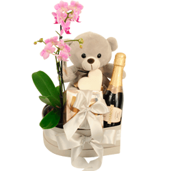 Mini Orquidea, chocolate e Chandon