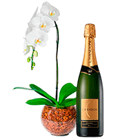 Orquídea com Chandon