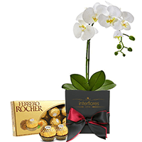 Orquídea e Chocolate para Presente