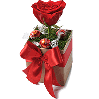 Uma Rosa Colombiana e Chocolate Lindt