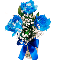 Arranjo com 03 Rosas Azuis