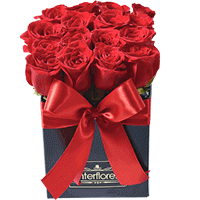 Luxuosas Rosas Colombianas - Vila Olimpia