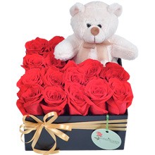 Cesta Rosas Vermelhas e Urso Pelúcia