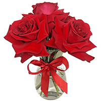 3 Rosas Colombianas Vermelhas