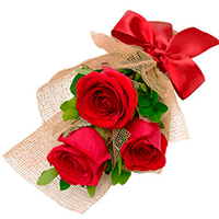 Trio de Rosas Vermelhas Importadas